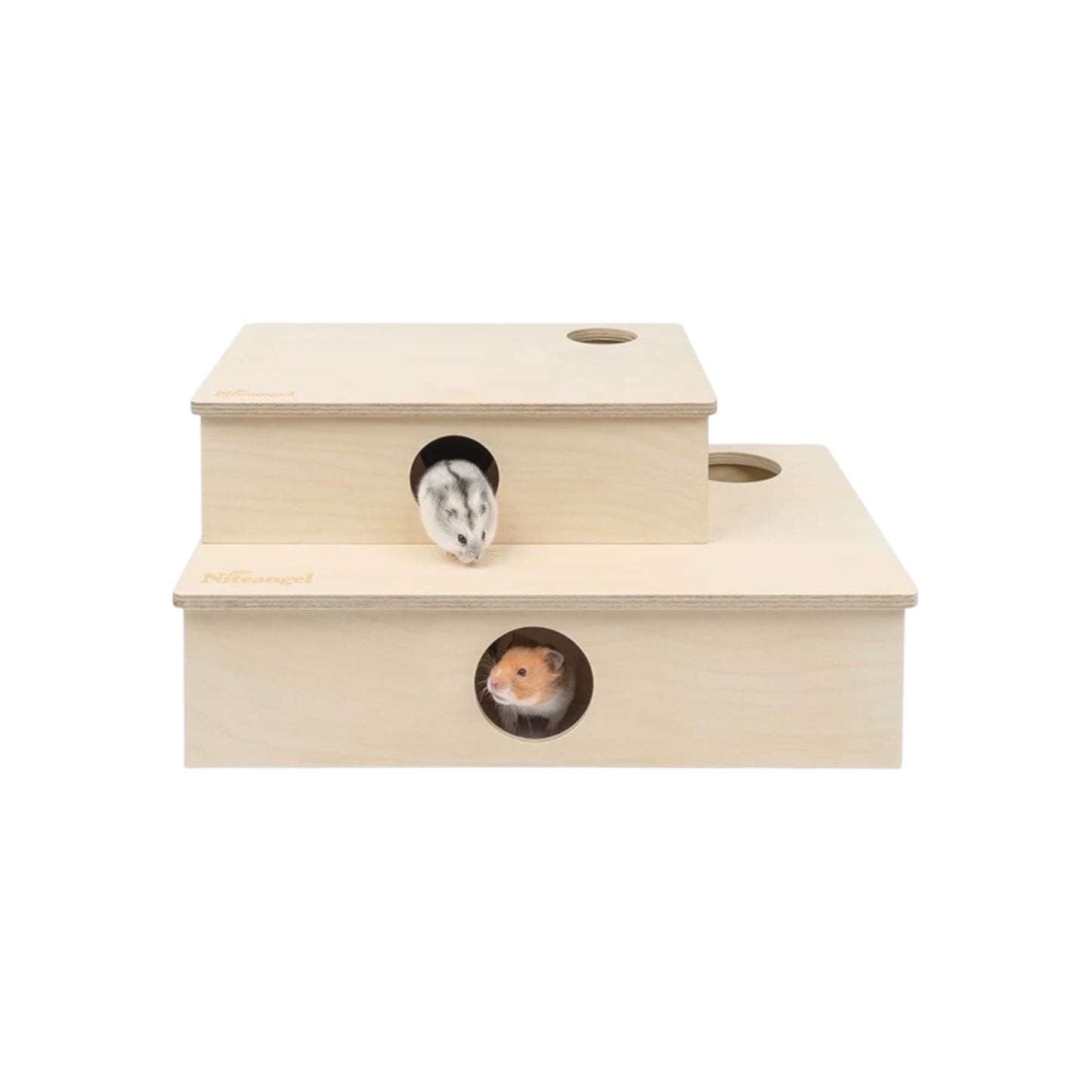 Multiroom Chamber