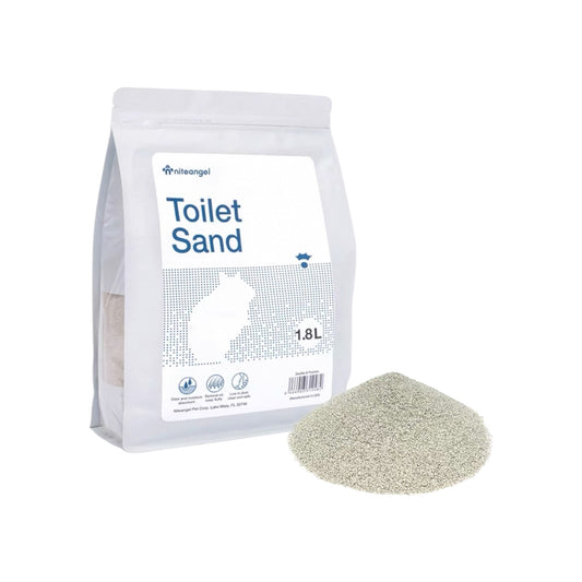 Blue Toilet Sand