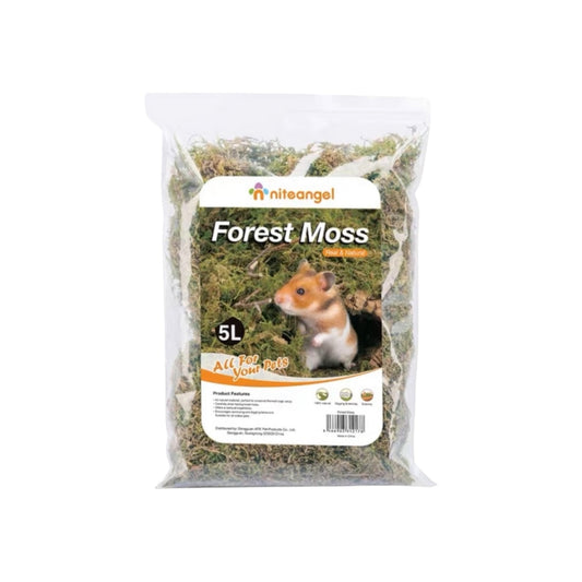 Forest Moss